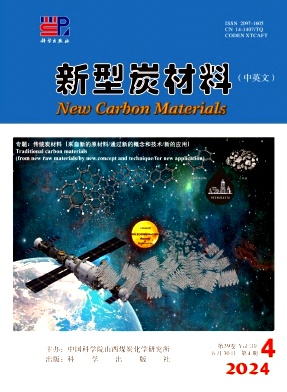 新型炭材料(中英文)